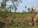 2022-05-20 - Tornado beim Sturmtief Emmelinde Solling - Steinlade bis Gehren (03)